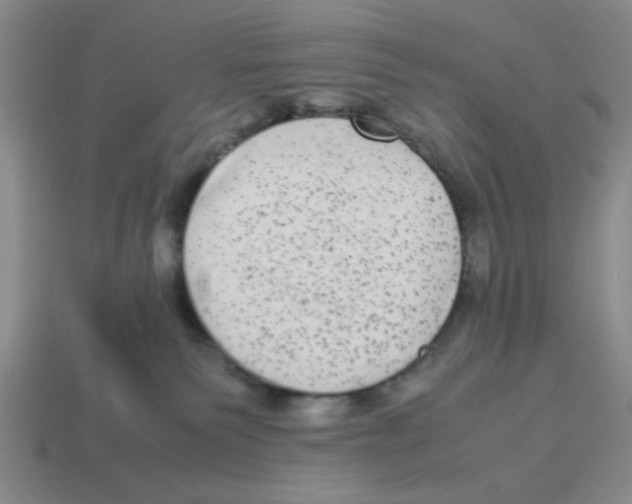 X0000114190135200911061411