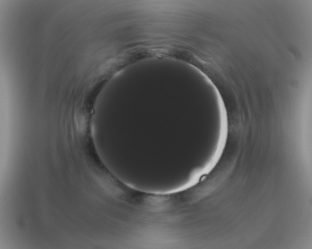 X0000114190139200911061411