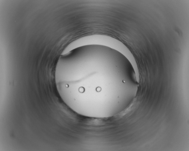 X0000114190140200911061411