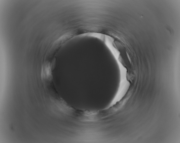 X0000114190143200911061411