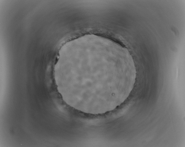 X0000114190144200911061411