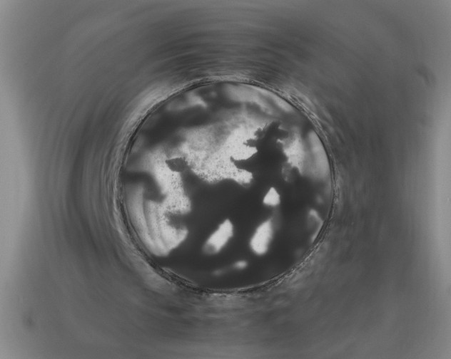 X0000114190145200911061410