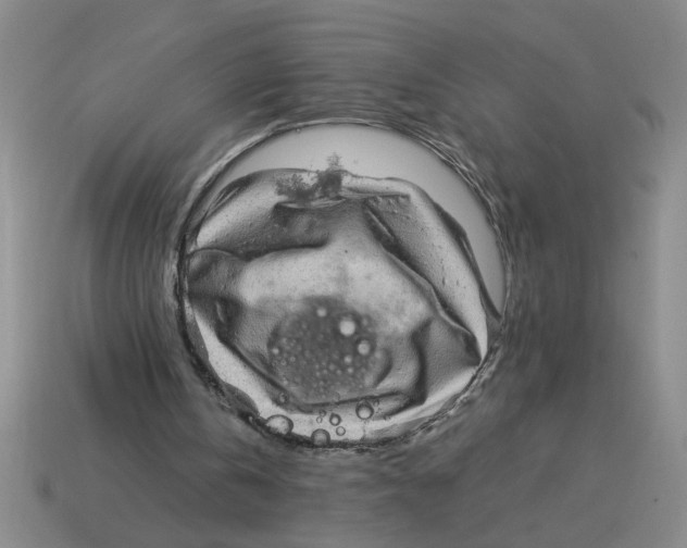 X0000114190146200911061410