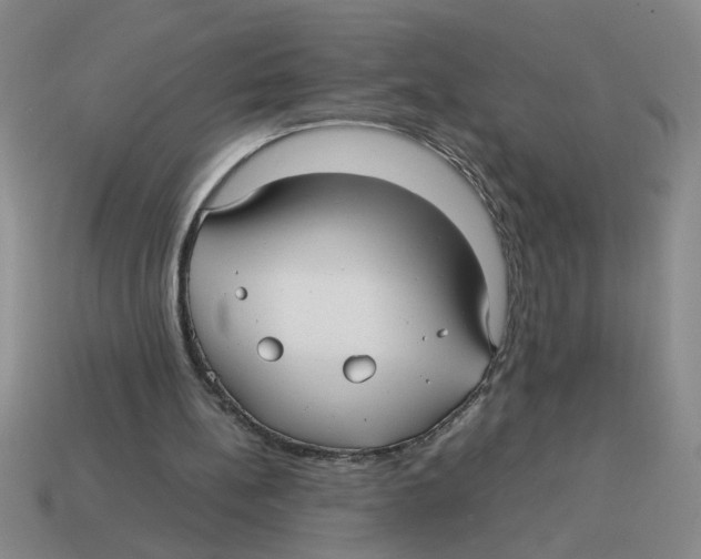 X0000114190148200911061410