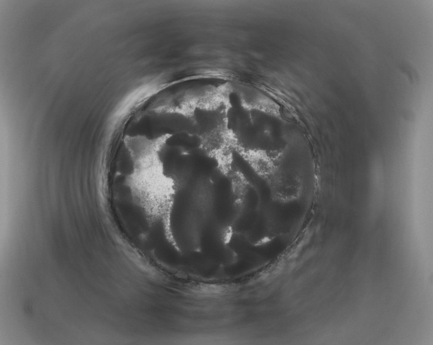 X0000114190149200911061410