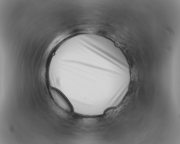 X0000114190150200911061410