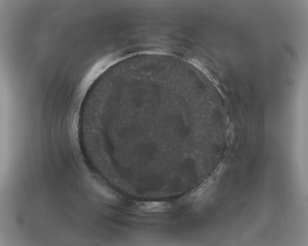 X0000114190151200911061410