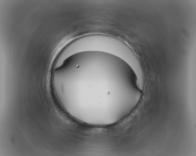 X0000114190152200911061410