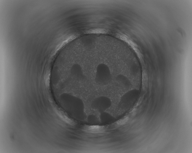 X0000114190153200911061410