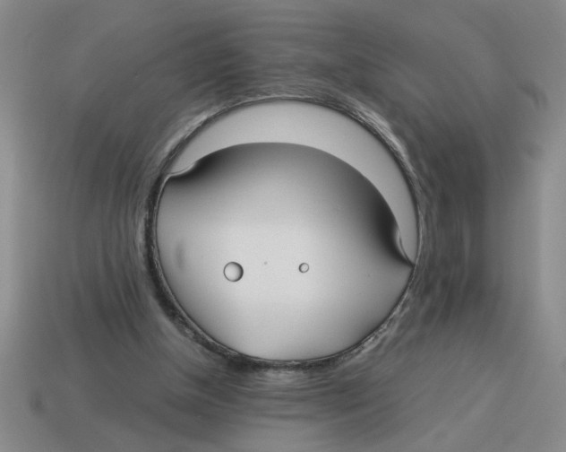 X0000114190154200911061410