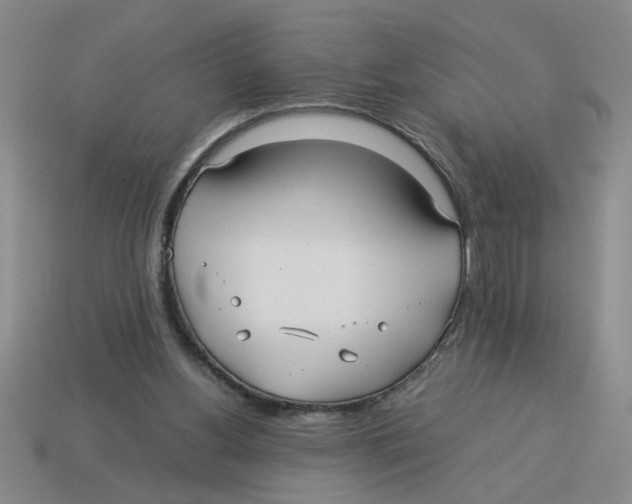 X0000114190156200911061410