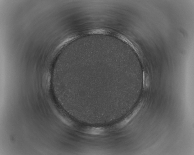 X0000114190157200911061410