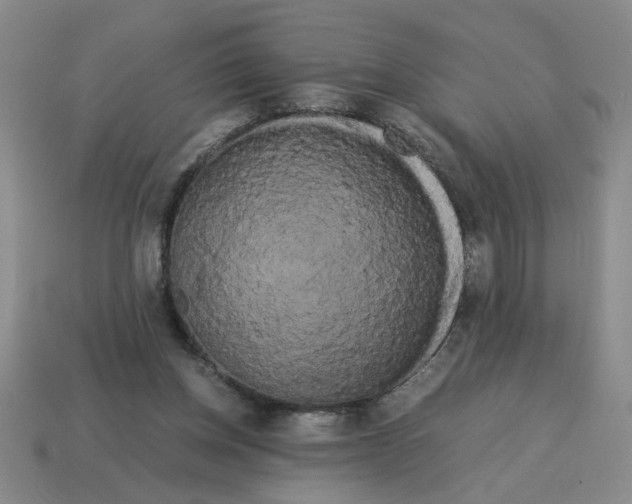 X0000114190158200911061410