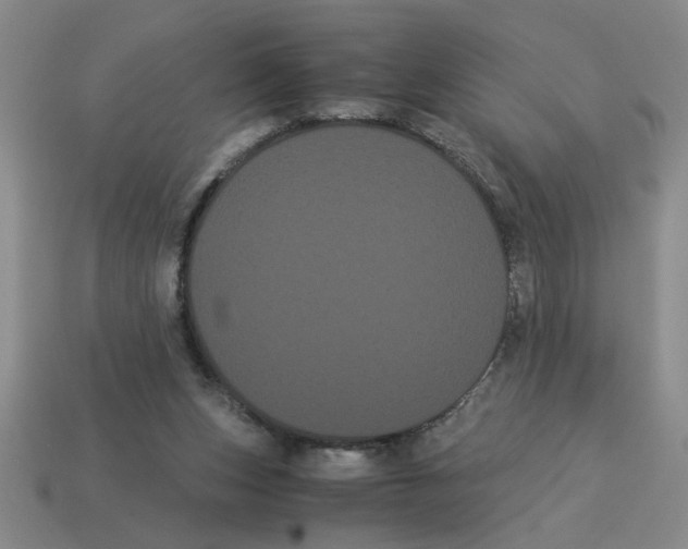 X0000114190159200911061410