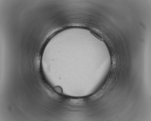 X0000114190160200911061410