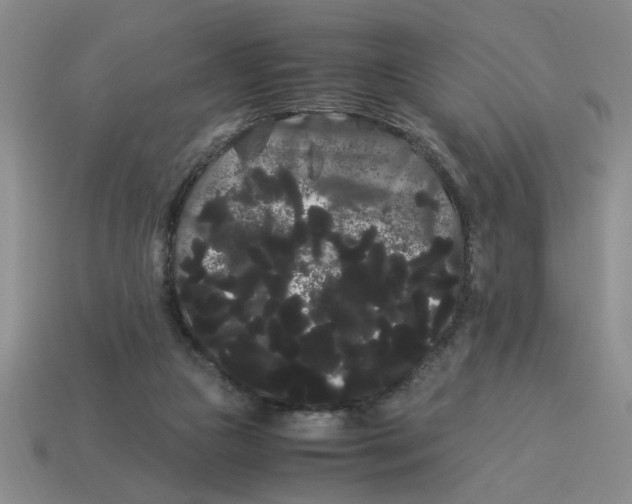 X0000114190161200911061410