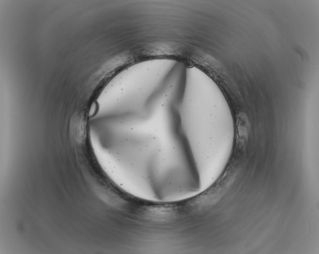 X0000114190164200911061410