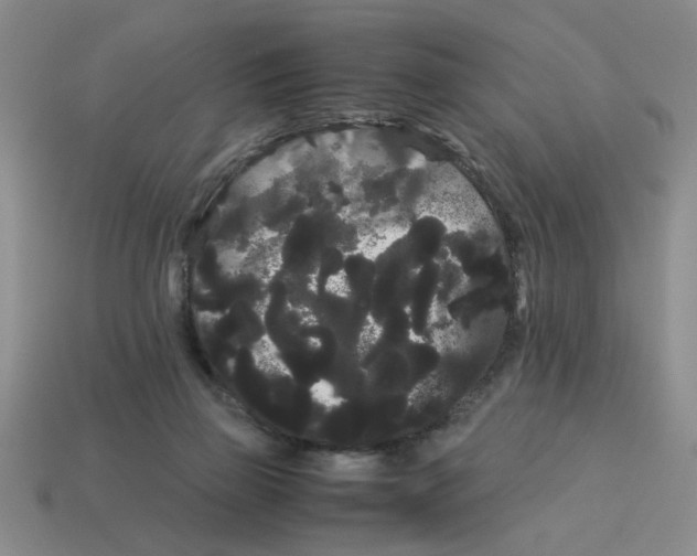 X0000114190165200911061411