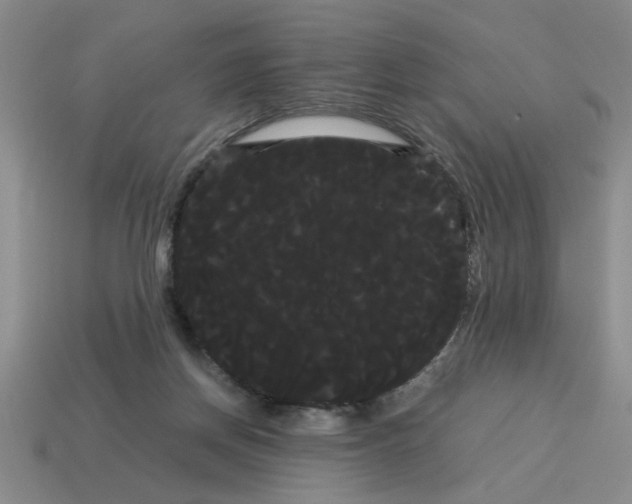 X0000114190166200911061411