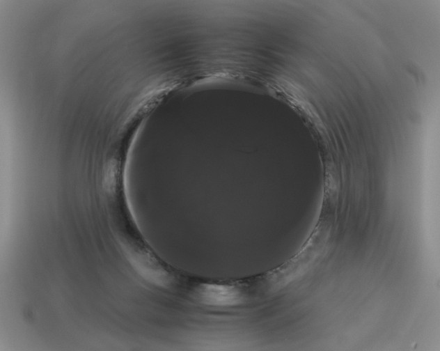 X0000114190167200911061411