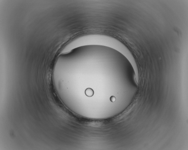 X0000114190168200911061411