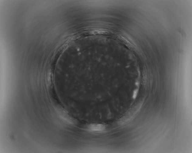 X0000114190169200911061411