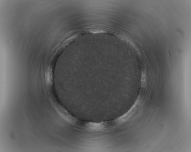 X0000114190170200911061411