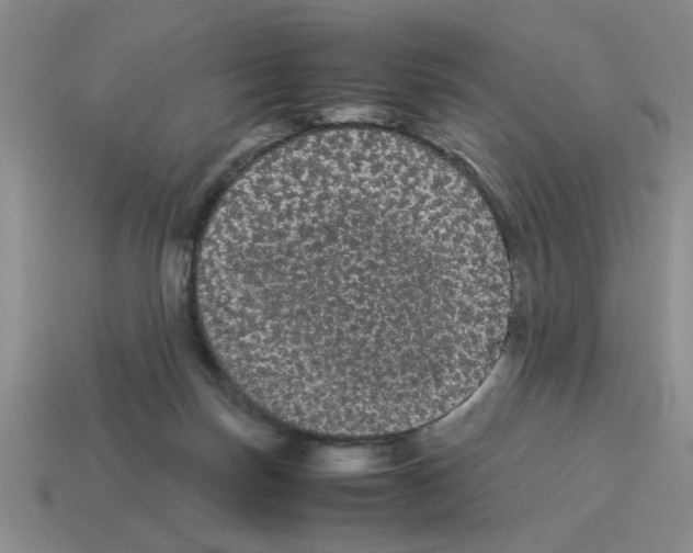 X0000114190171200911061411