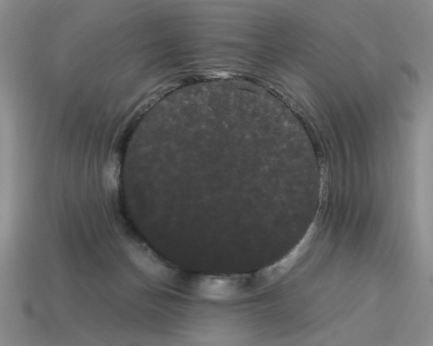 X0000114190174200911061411