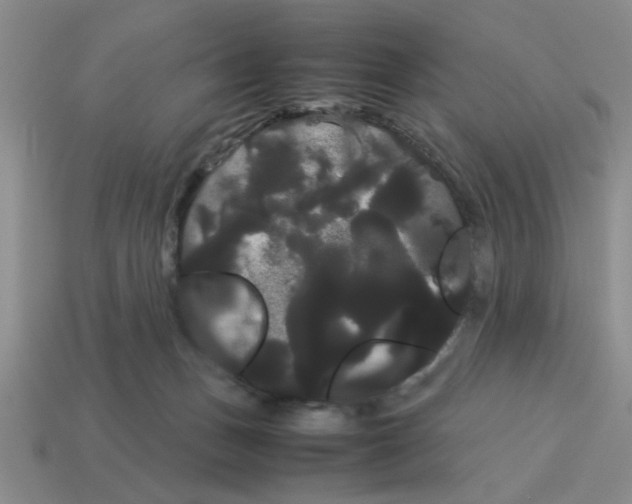 X0000114190175200911061411