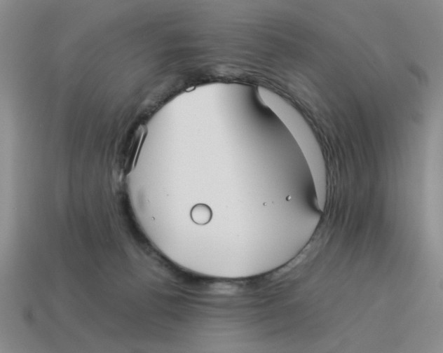 X0000114190176200911061411