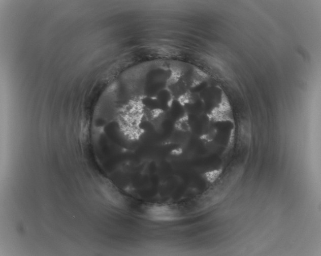 X0000114190177200911061411