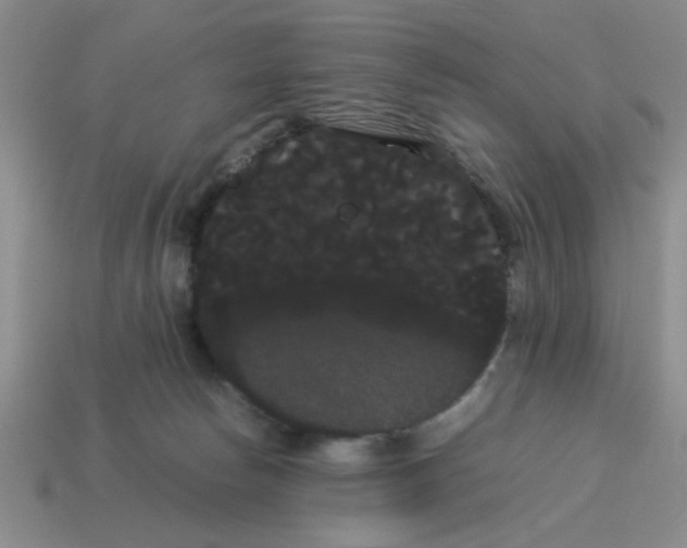 X0000114190178200911061411