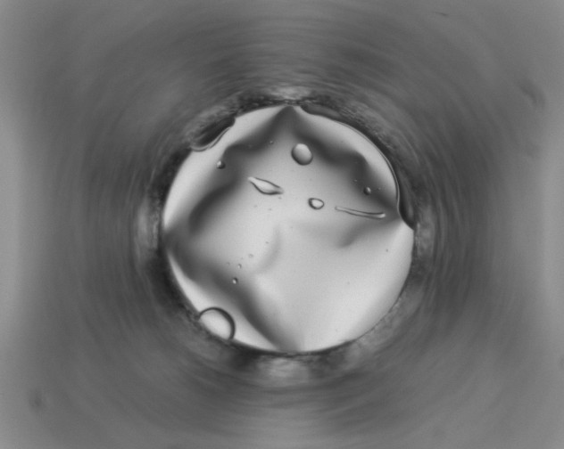 X0000114190180200911061411