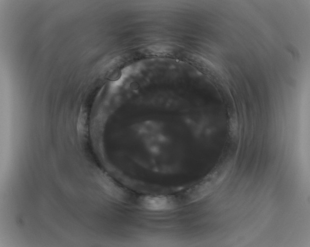 X0000114190181200911061411