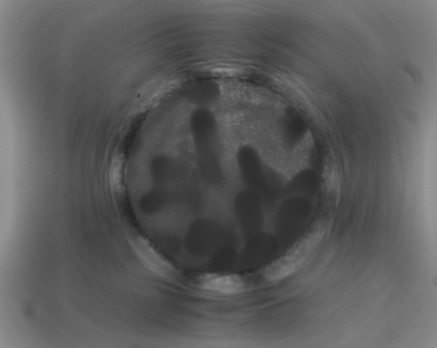 X0000114190185200911061411