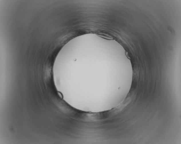 X0000114190188200911061411