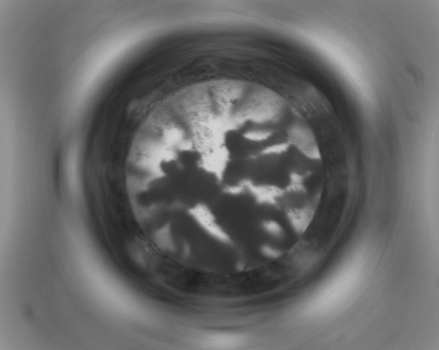 X0000114190189200911061411