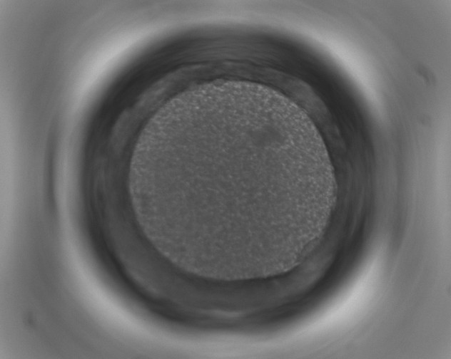 X0000114190191200911061411