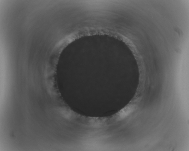 X0000114190192200911061411