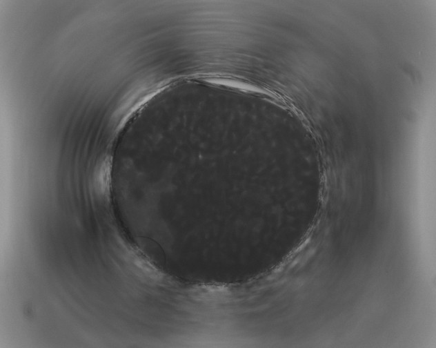 X0000114190194200911061410