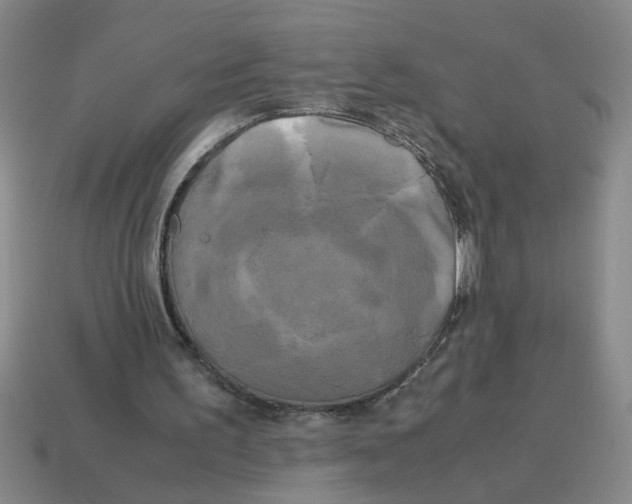 X0000114190195200911061410