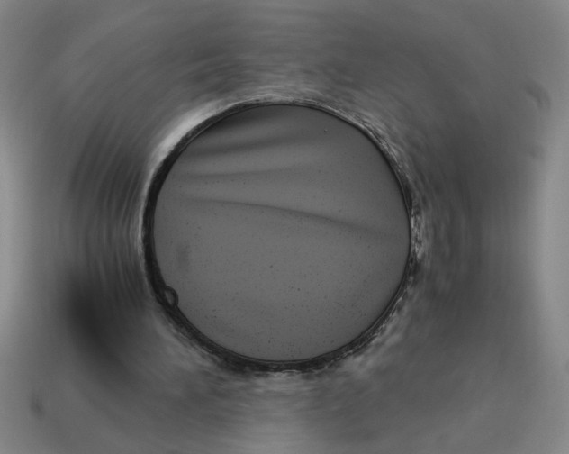 X0000114190196200911061410