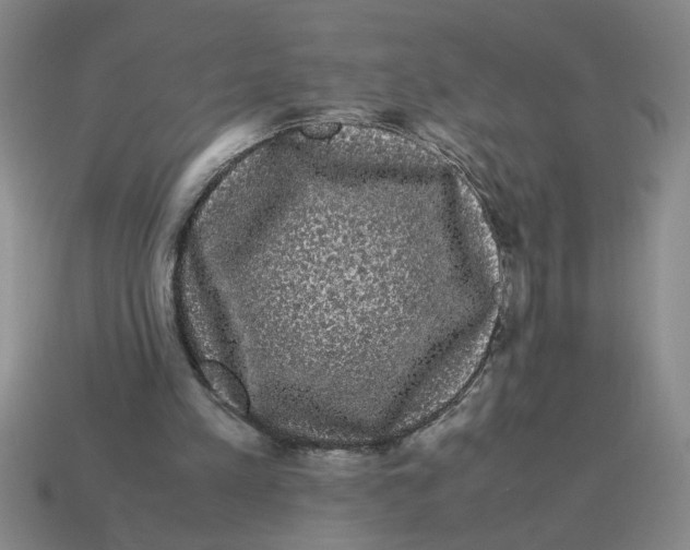 X0000114190197200911061410