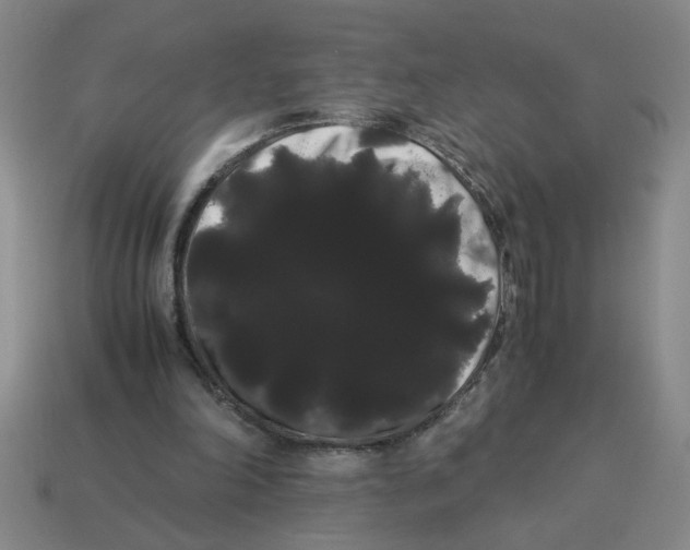 X0000114190198200911061410