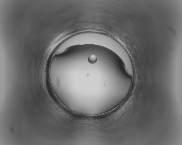 X0000114190199200911061410