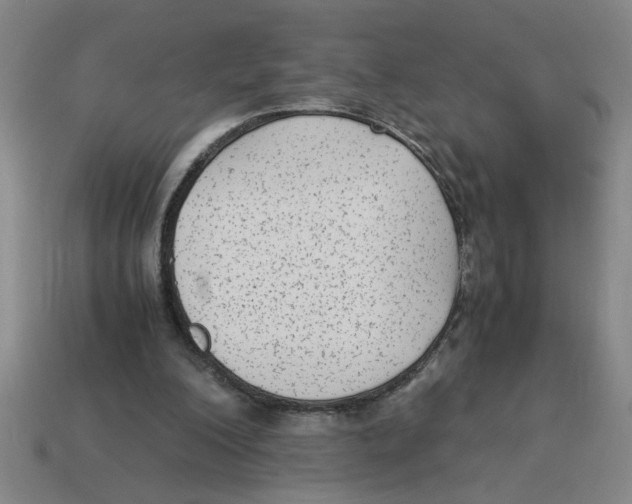 X0000114190200200911061410