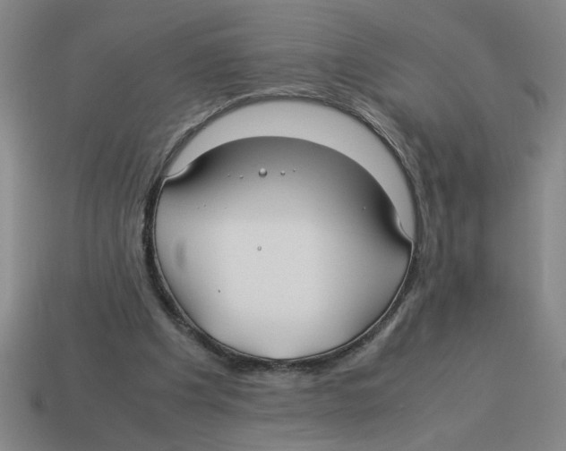 X0000114190201200911061410