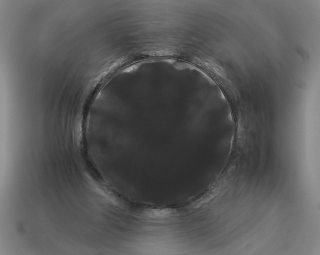 X0000114190202200911061410