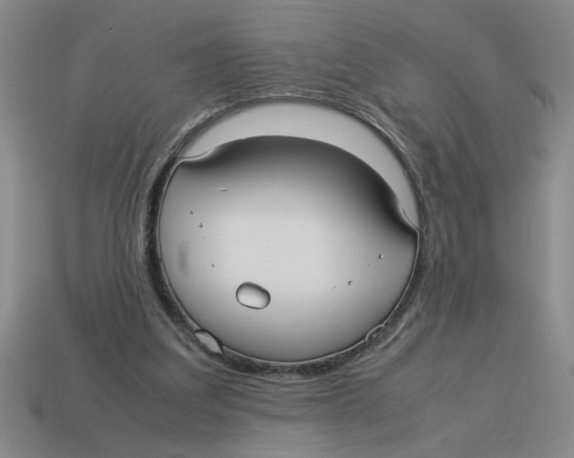 X0000114190203200911061410